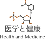 这是描述信息